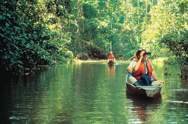 An Amazonian Adventure